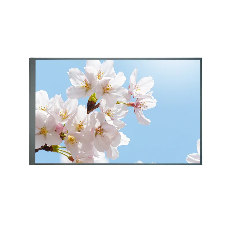 8.0 inch Northmanni Back TFT IPS TFT LCD screen moduli